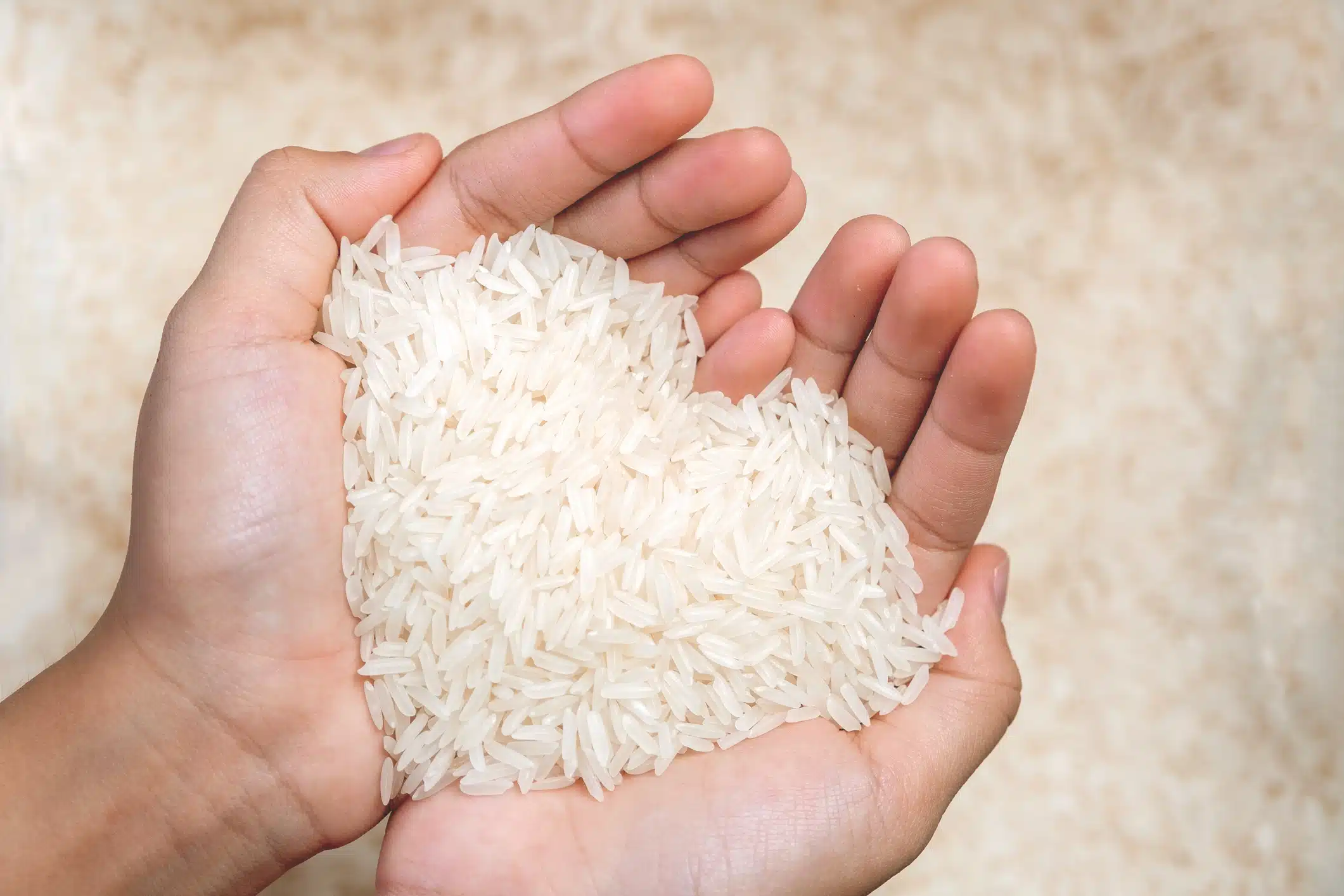 Grains de riz et bol traditionnel japonais