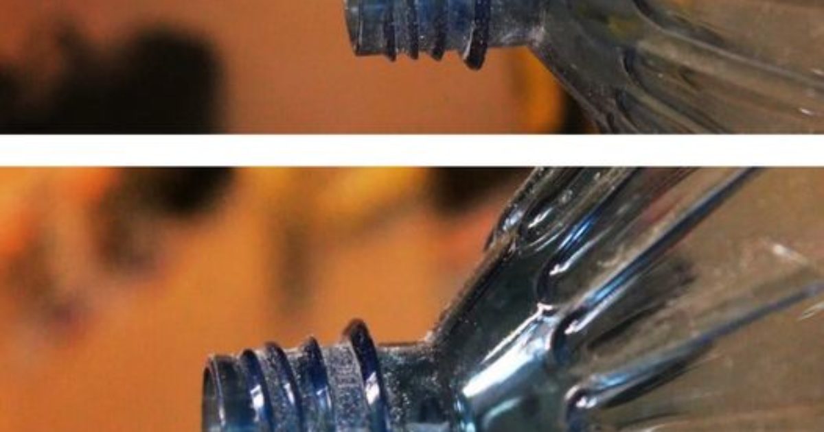 Il a aperçu une idée brillante utilisant une bouteille en plastique chez son voisin, par-dessus la clôture, et s'est empressé de la reproduire chez lui !