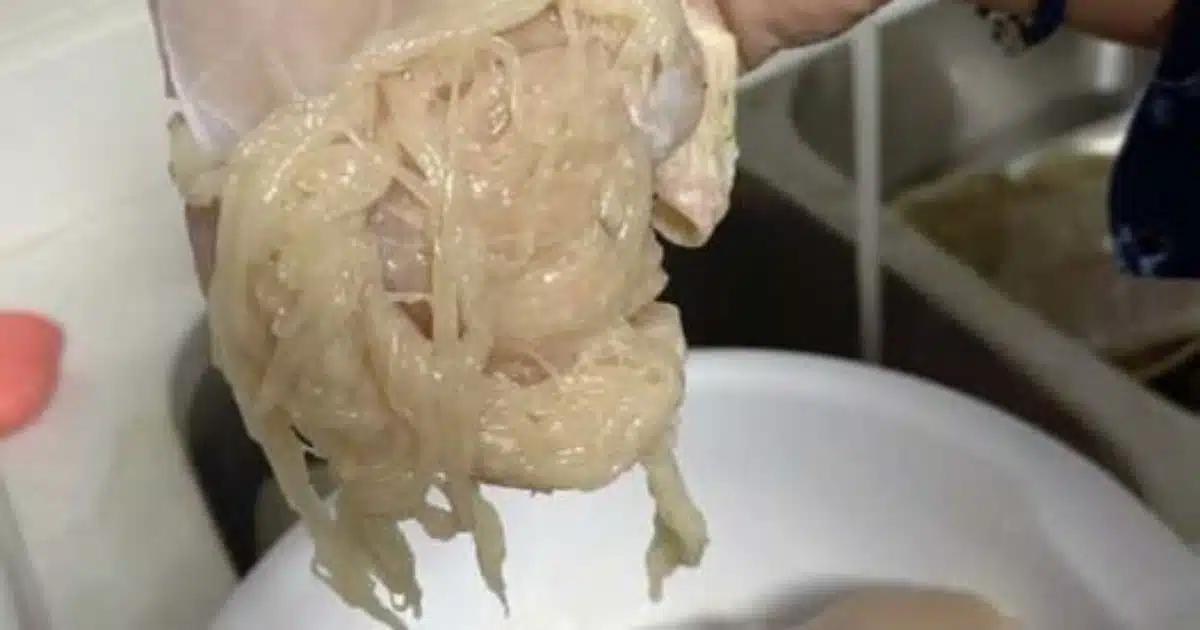 Il y a quelques semaines, alors qu'elle préparait le dîner pour ses enfants, cette mère a fait une découverte en nettoyant la viande