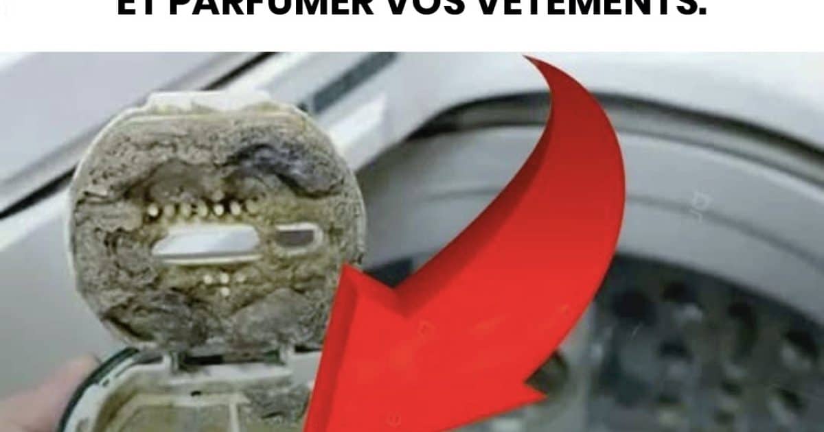 Il y a un petit compartiment dans la machine à laver : ouvrez-le une fois par mois pour nettoyer le tambour et parfumer vos vêtements