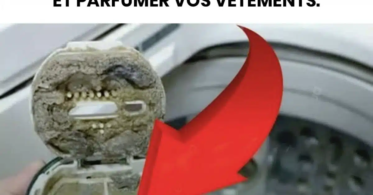 Il y a un petit compartiment dans la machine à laver : ouvrez-le une fois par mois pour nettoyer le tambour et parfumer vos vêtements
