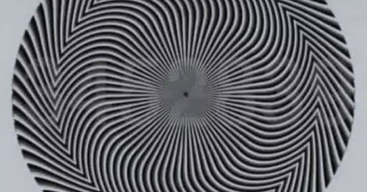 Illusion d'optique : jusqu'à présent, personne n'a trouvé le bon numéro