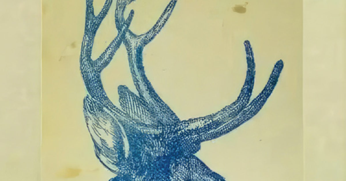 Illusion d'optique : pouvez-vous trouver le lapin caché dans le cerf en 9 secondes ?