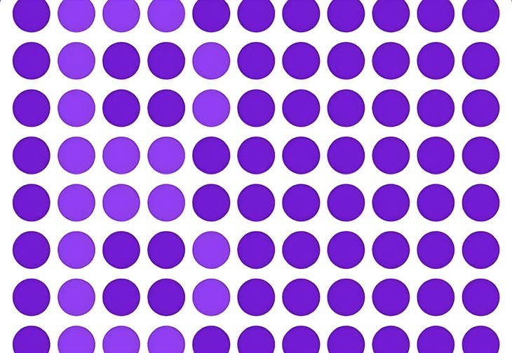 Image du puzzle – source : spm