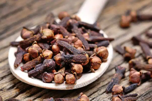 Infusion de clou de girofle dans une tasse