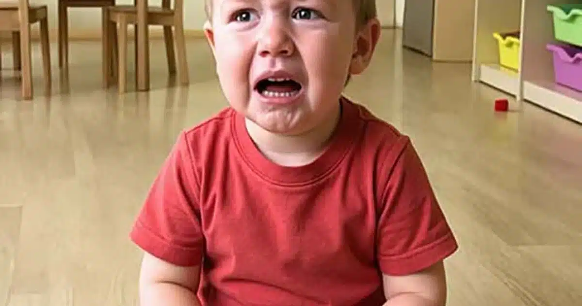 J’ai remarqué que mon fils pleurait chaque fois que la nounou venait le chercher à la garderie — Un jour, j’ai donc décidé de les suivre