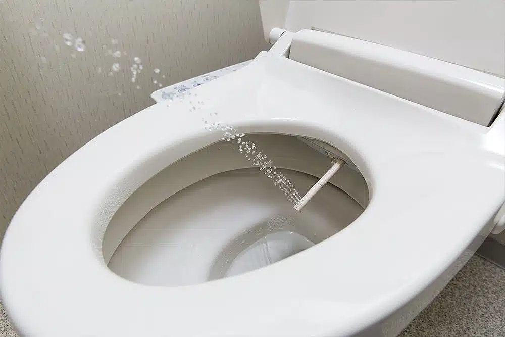 Toilettes japonaises traditionnelles