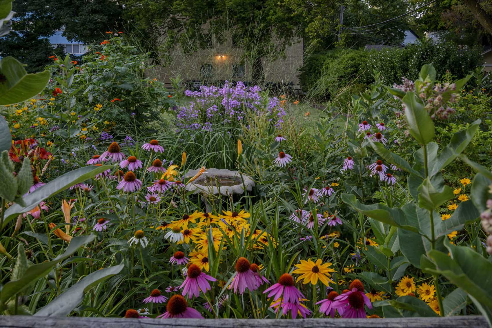 jardin fleuri