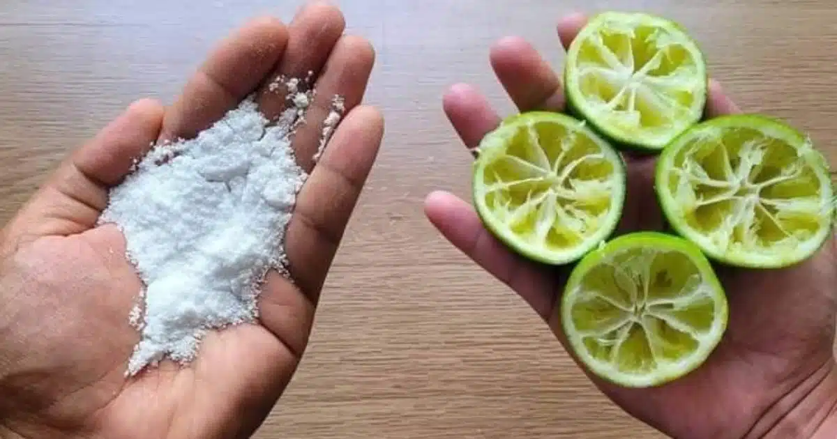 Je mélange du citron et du sel, utilisés de cette façon ils valent « leur pesant d’or »