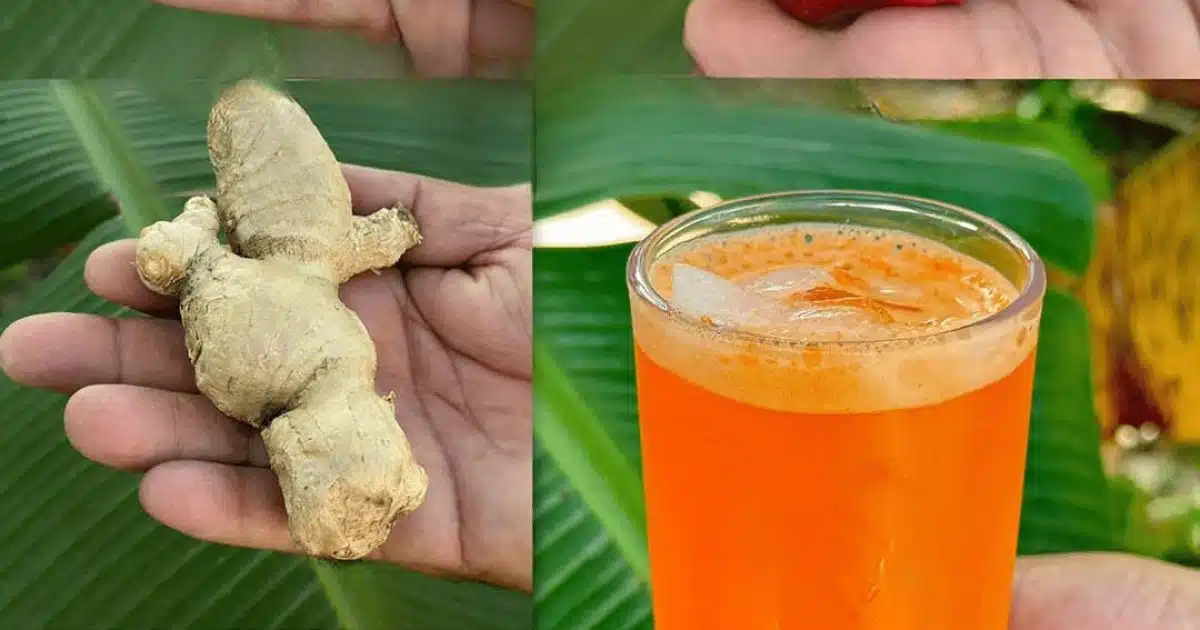 Je recommande ce smoothie : un verre par jour a suffi à résoudre naturellement ces problèmes
