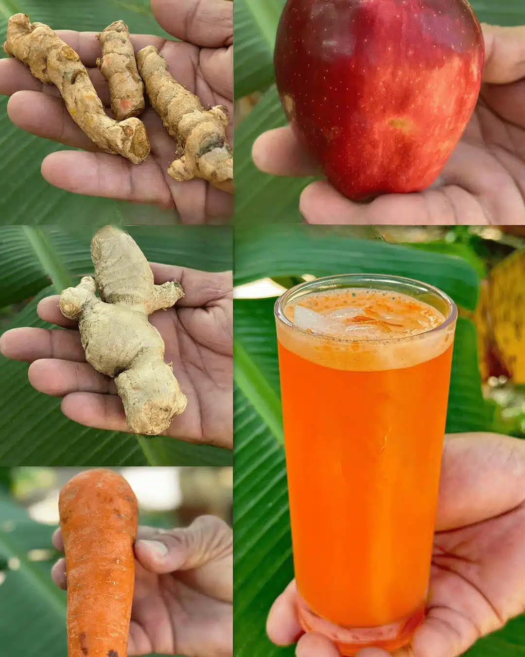 Je recommande ce smoothie : un verre par jour a suffi à résoudre naturellement ces problèmes