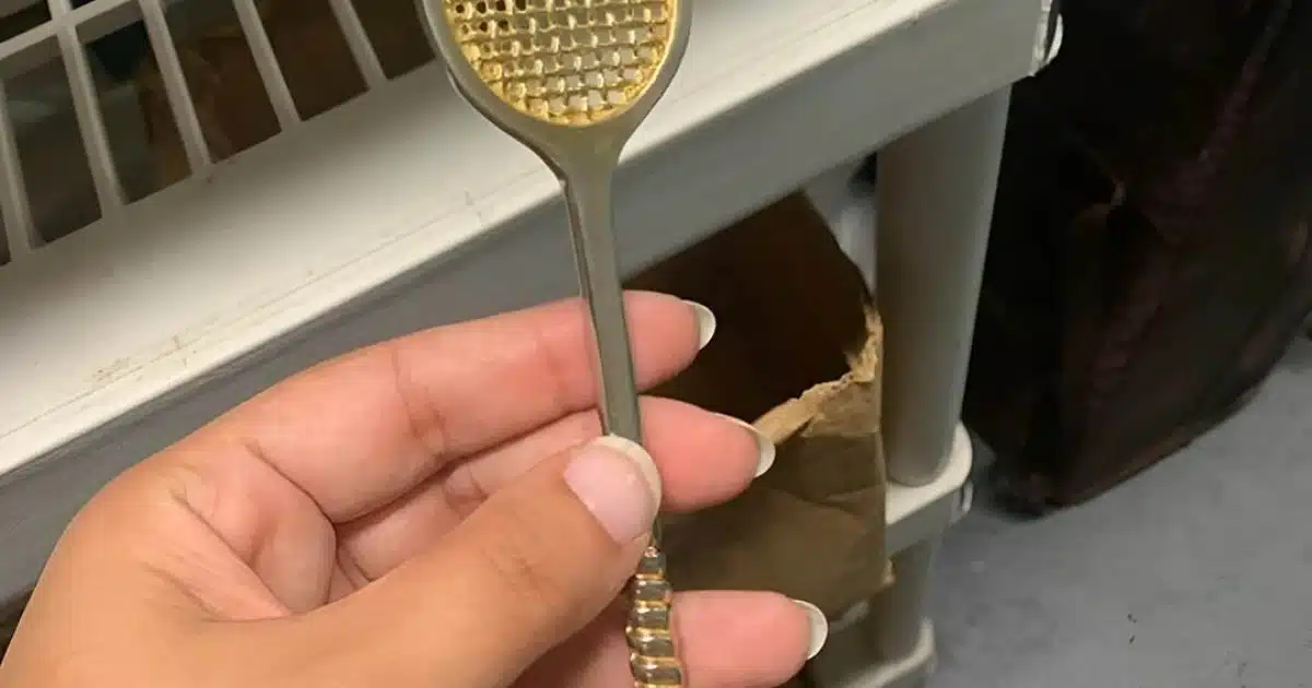 Je suis tombé par hasard sur cette belle raquette de la taille d'une cuillère : quelqu'un sait ce que c'est ?