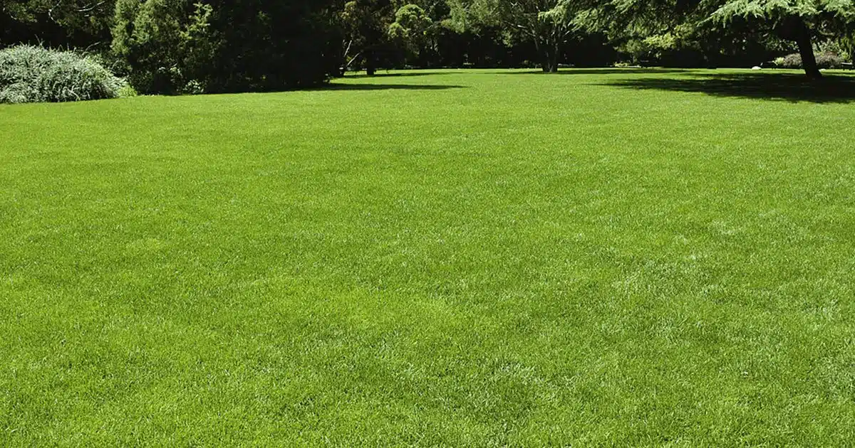 Juste vers midi hier, quelque chose d’inhabituel a attiré mon attention dans mon jardin