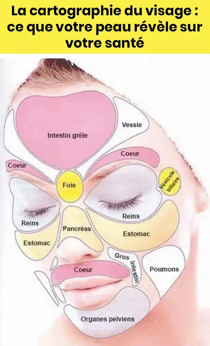 La cartographie du visage : ce que votre peau dévoile sur votre état de santé