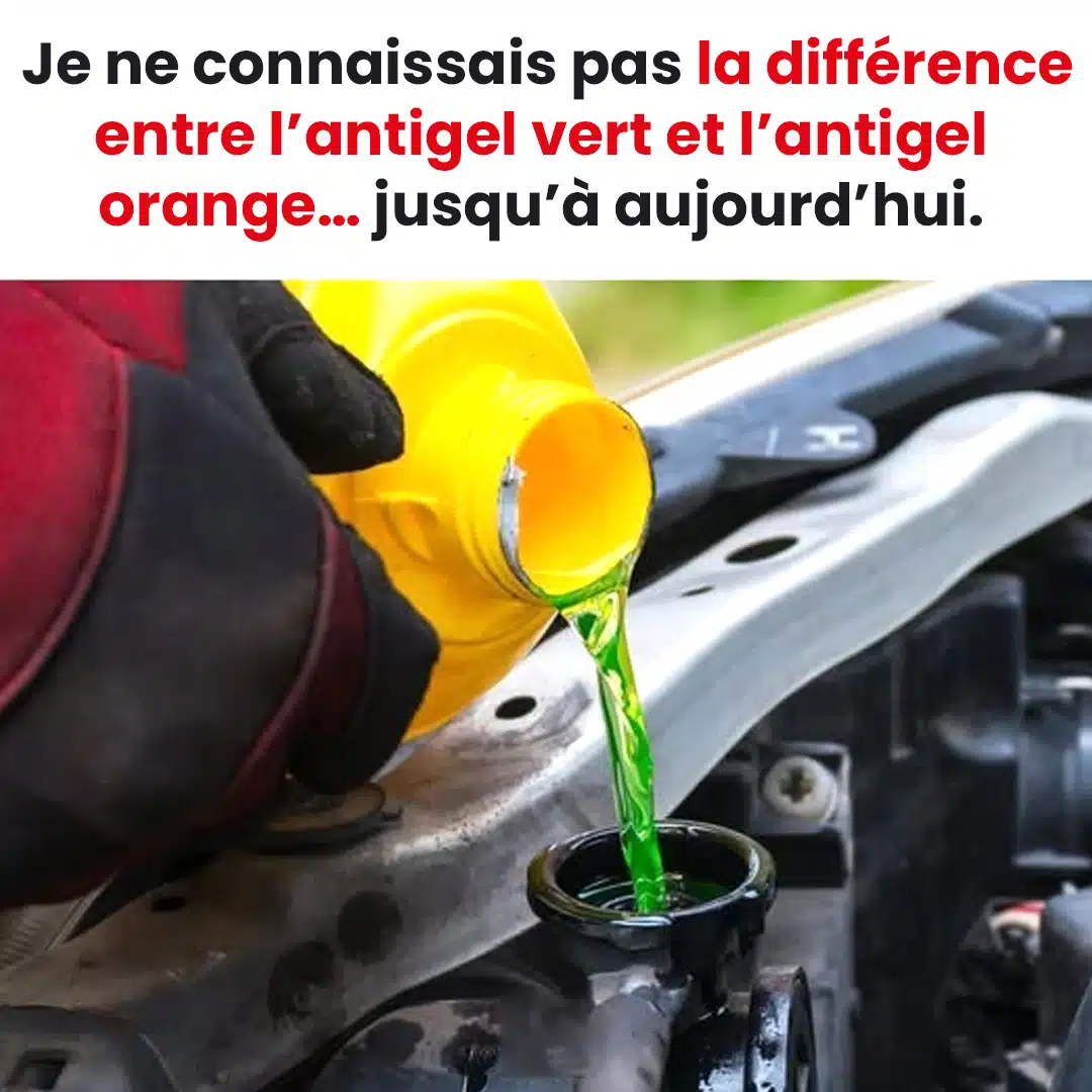 La différence entre l'antigel vert et orange