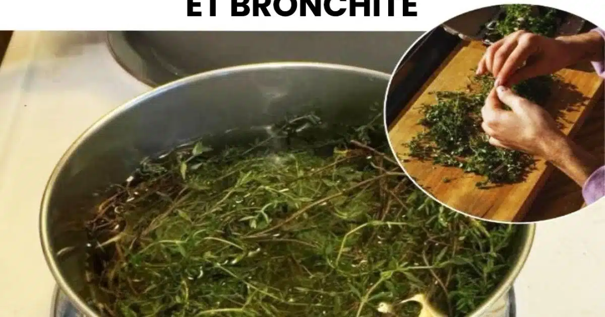 La plante qui combat les maux d'estomac, la diarrhée, l'arthrite, les maux de gorge et le virus de la grippe