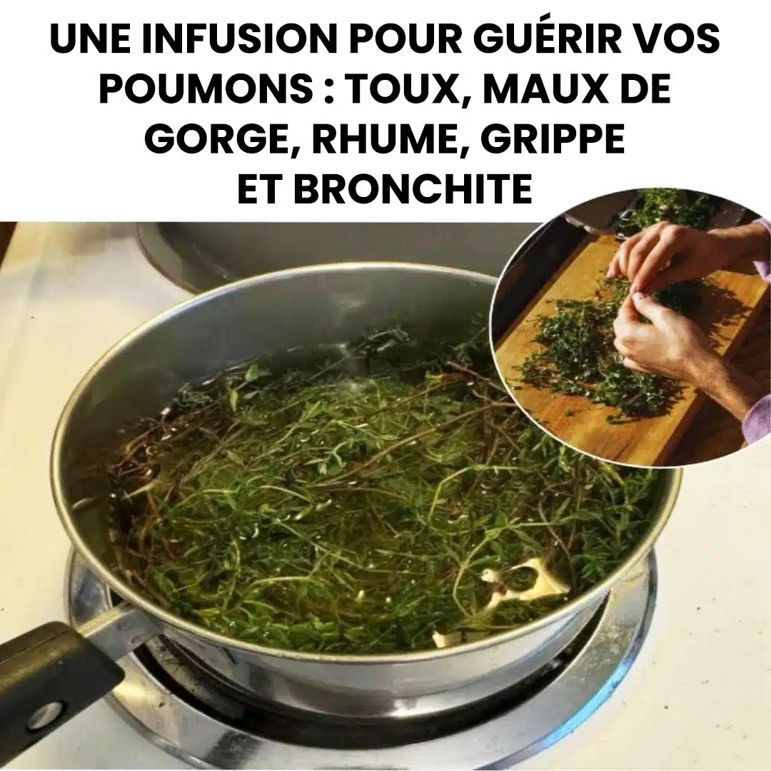 La plante qui combat les maux d'estomac, la diarrhée, l'arthrite, les maux de gorge et le virus de la grippe