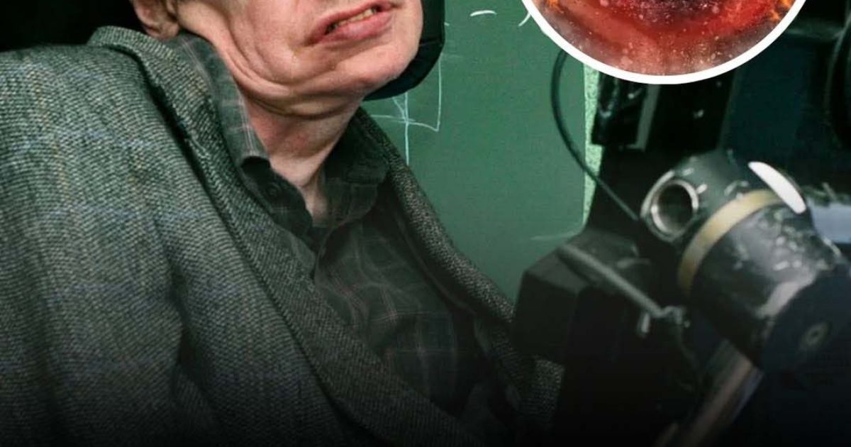 La prédiction de Stephen Hawking sur la fin du monde pourrait se réaliser plus tôt que prévu