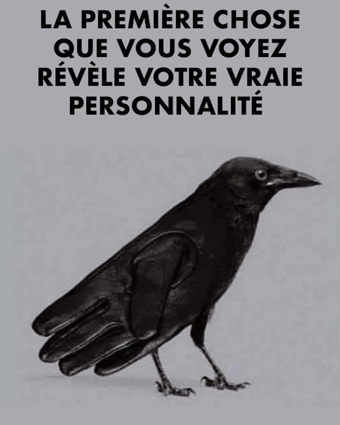 La première chose que vous voyez révèle votre vraie personnalité