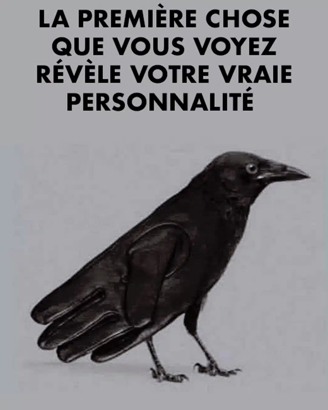 La première chose que vous voyez révèle votre vraie personnalité