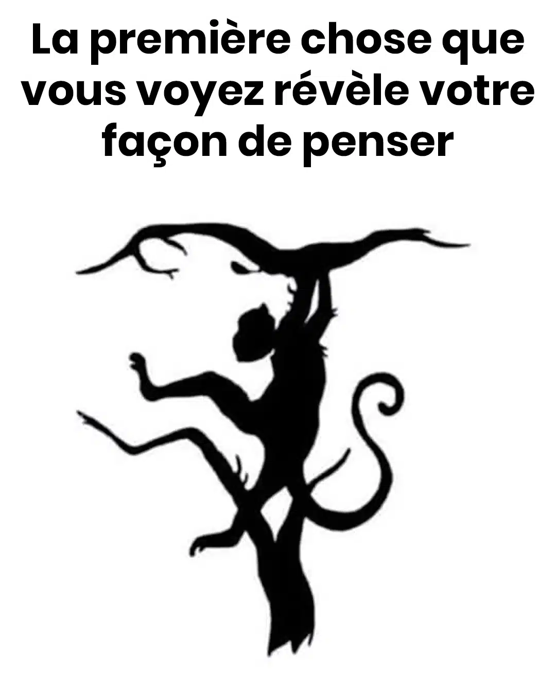 La première chose que vous voyez révélera votre façon de penser