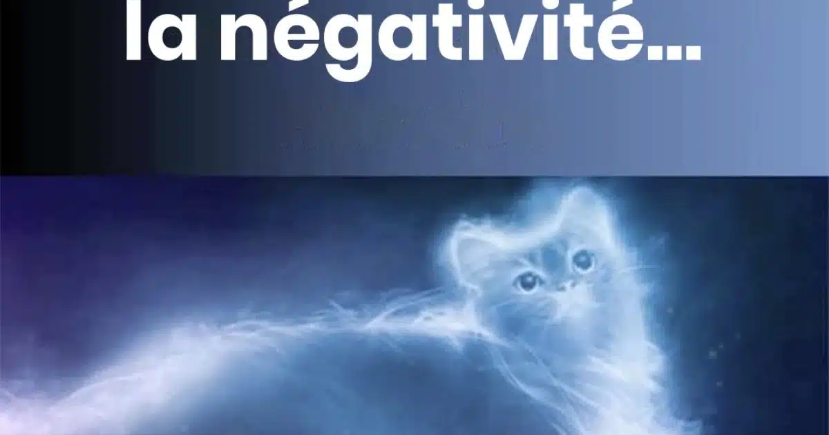 La présence d’un chat dans la maison serait bénéfique sur le plan énergétique : il éloignerait les ondes négatives et apaiserait l’esprit