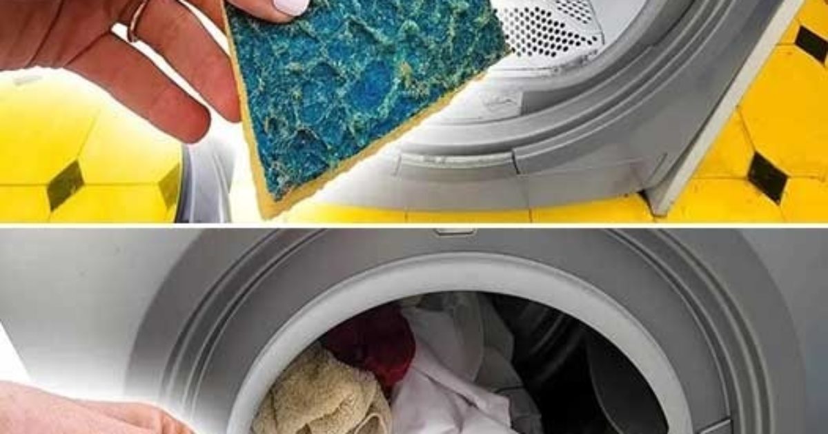 La raison géniale pour laquelle vous devriez jeter une éponge à vaisselle dans votre machine à laver