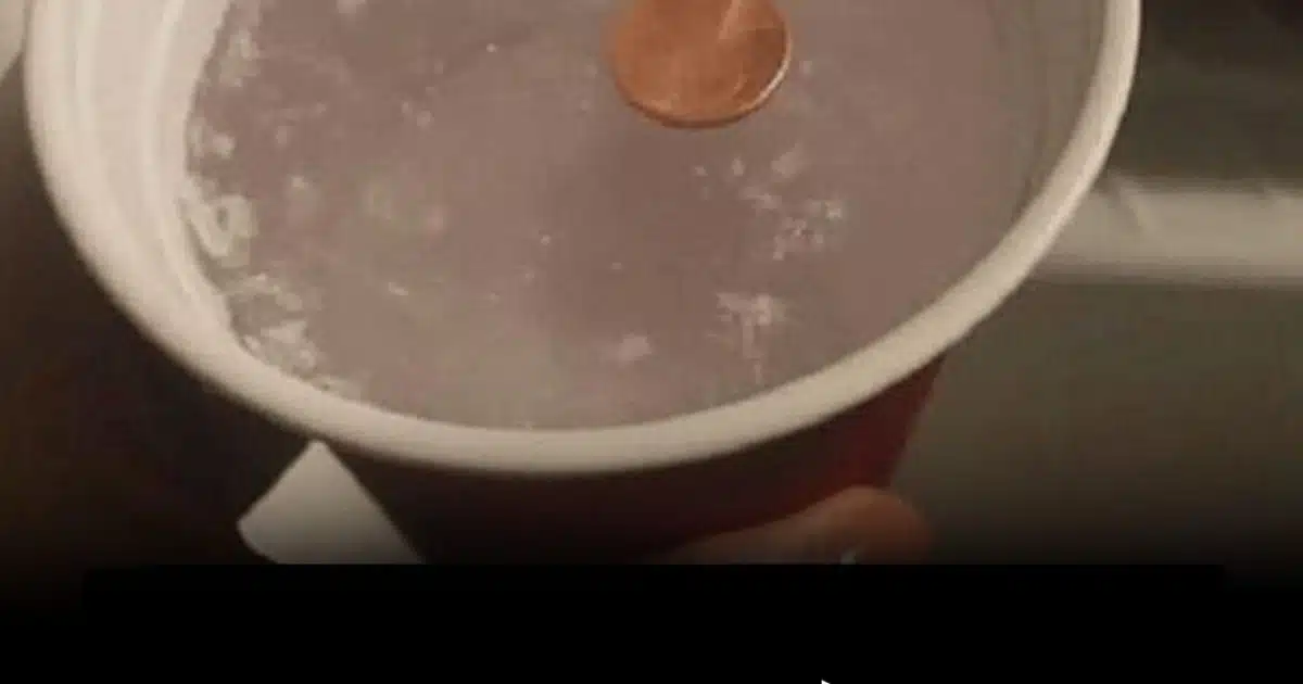 La raison pour laquelle vous devriez toujours placer une pièce de monnaie dans votre congélateur