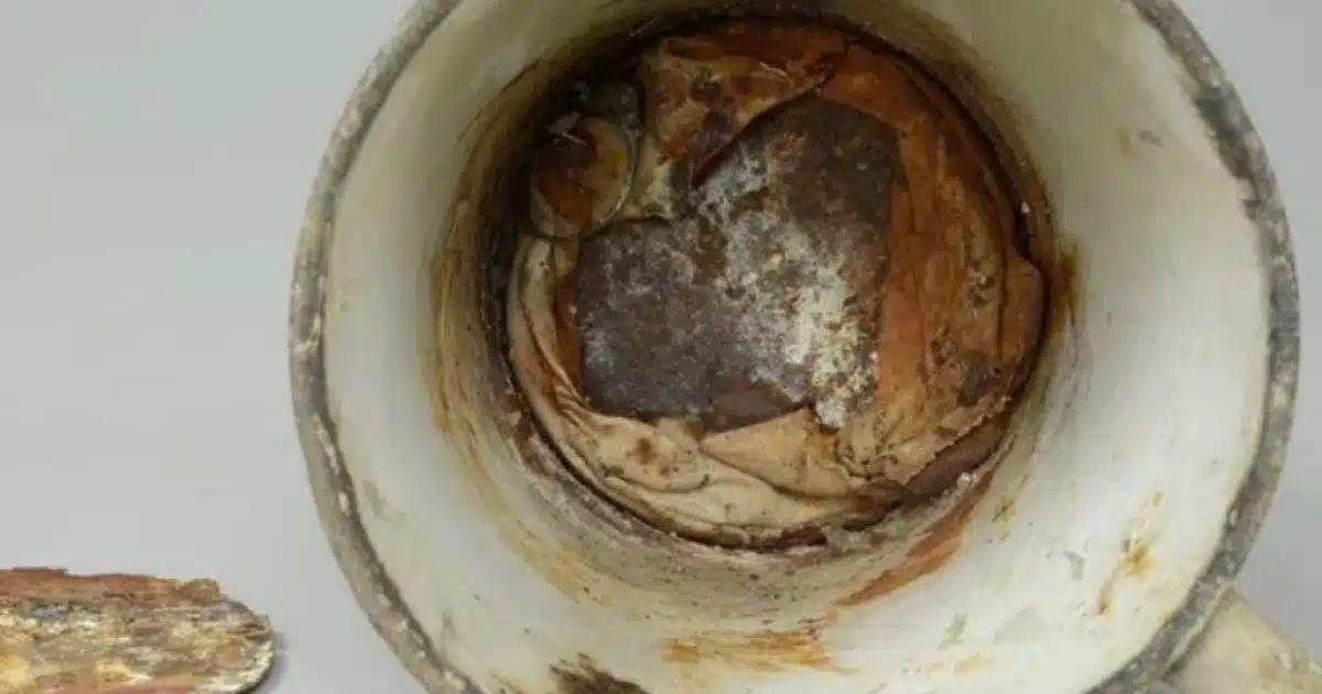 La tasse, qui a été exposée pendant 70 ans au musée d'Auschwitz, commence à se décomposer récemment, révélant une cachette secrète à l’intérieur