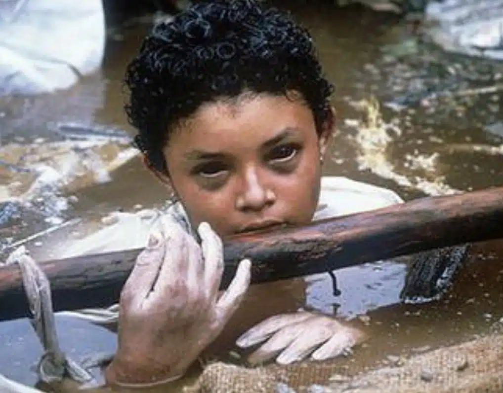 La vérité tragique derrière cette célèbre photo