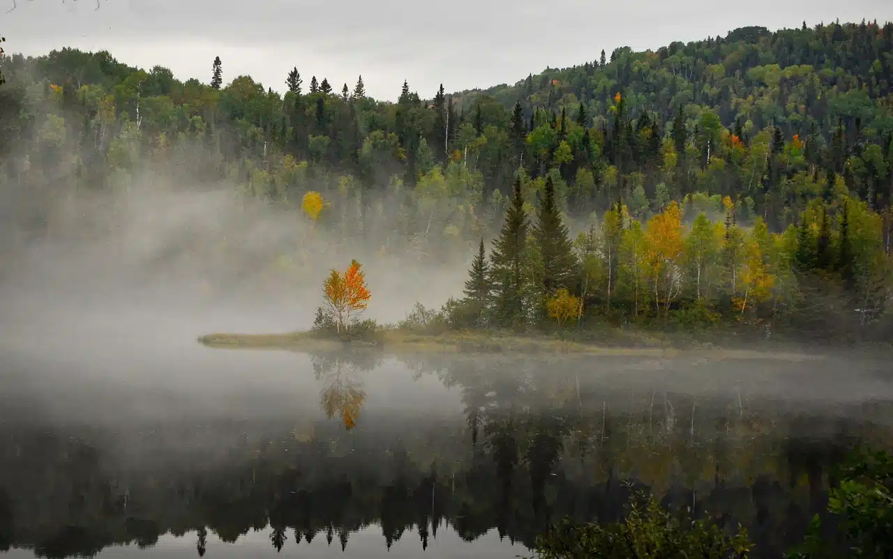 Vaste paysage naturel canadien avec des montagnes et un lac