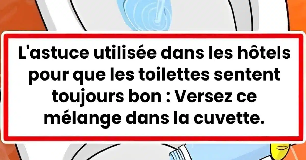 L'astuce que font les hôtels pour que les toilettes sentent toujours bon : versez ce mélange dans votre cuvette