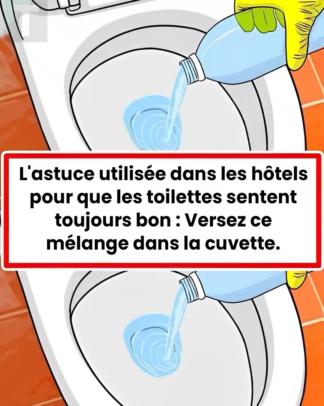 L'astuce que font les hôtels pour que les toilettes sentent toujours bon : versez ce mélange dans votre cuvette