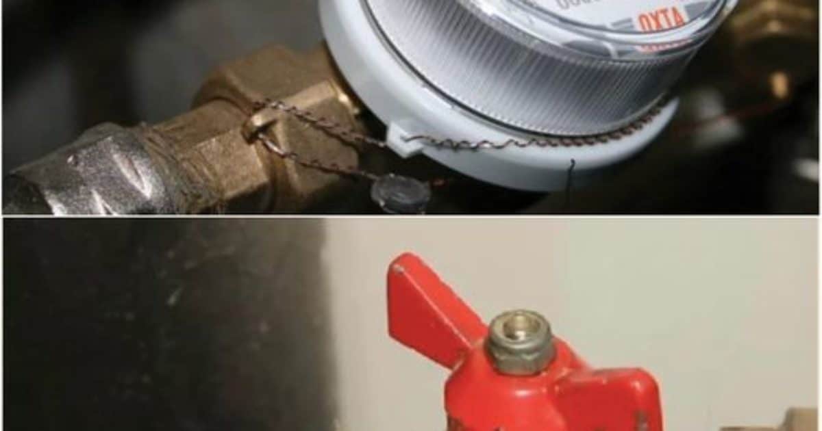 L'astuce qui m'a permis d'économiser 10 000 litres d'eau par mois