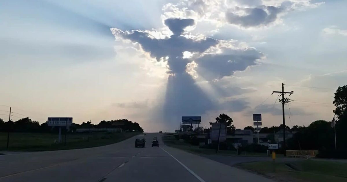 Le conducteur freine brusquement lorsqu’il remarque quelque chose d’incroyable dans le ciel – regardez la photo de plus près pour le voir
