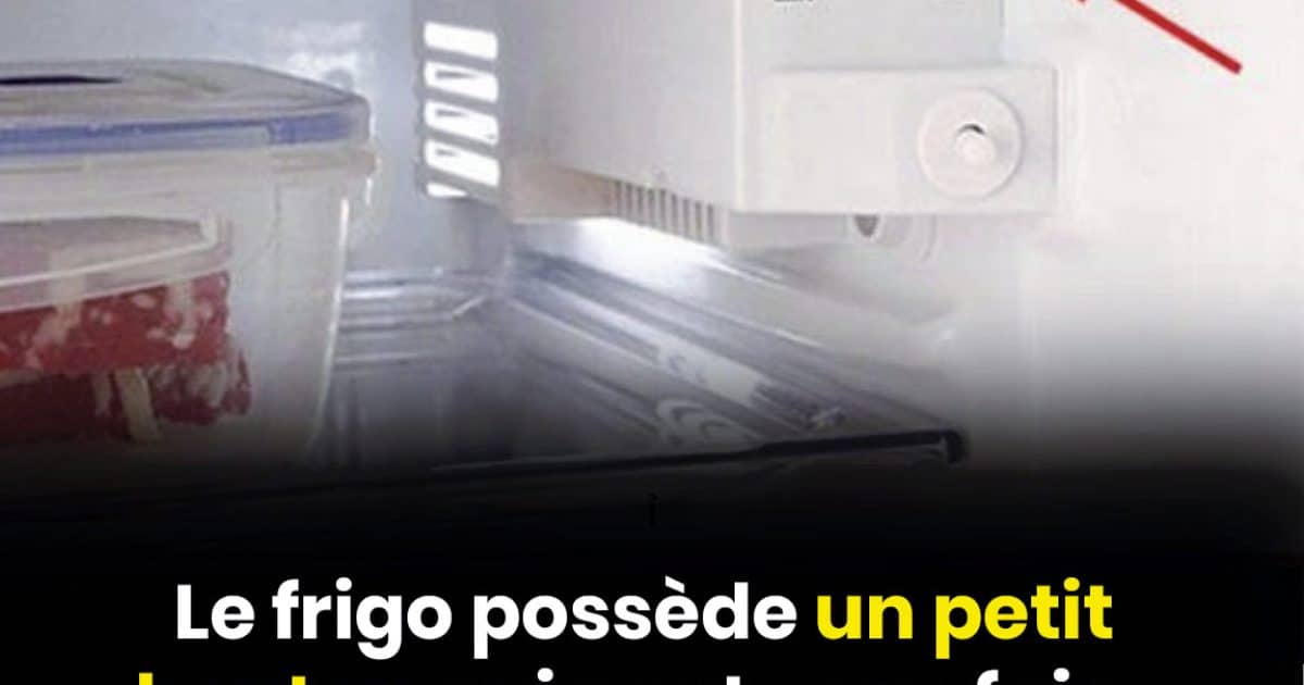 Le frigo possède petit bouton qui peut vous faire économiser beaucoup sur la facture d'électricité