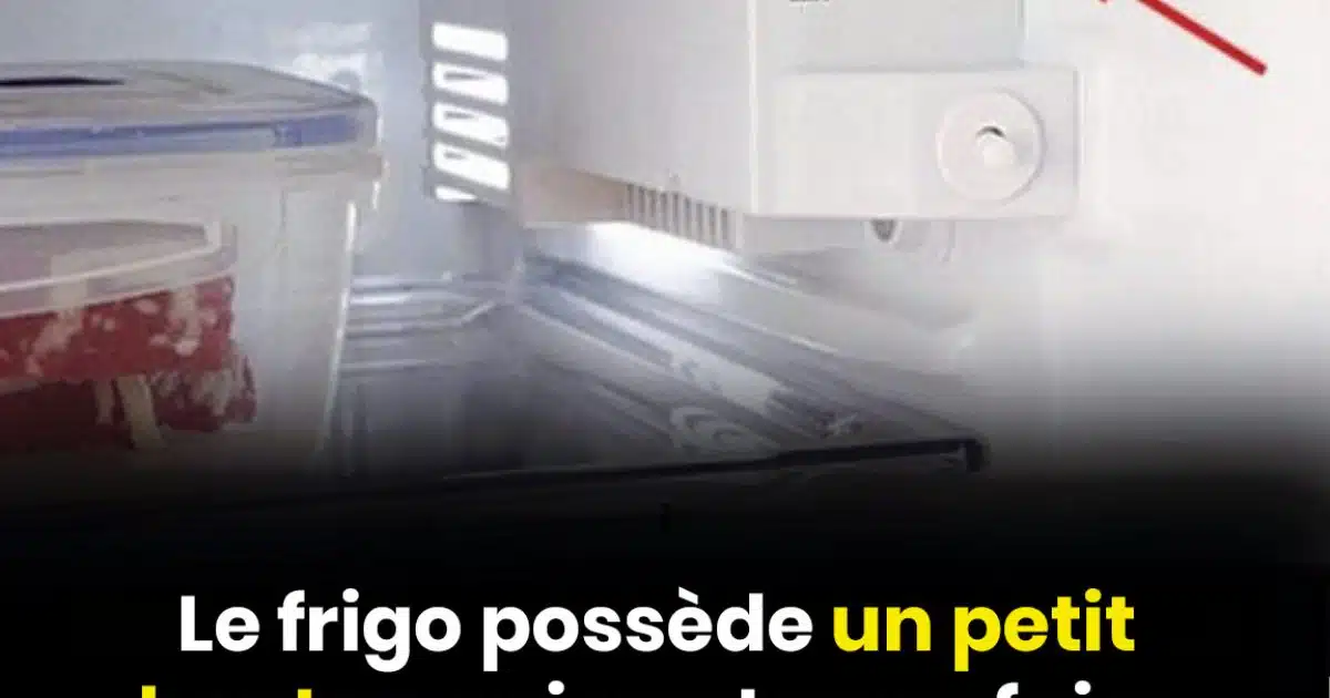 Le frigo possède petit bouton qui peut vous faire économiser beaucoup sur la facture d'électricité