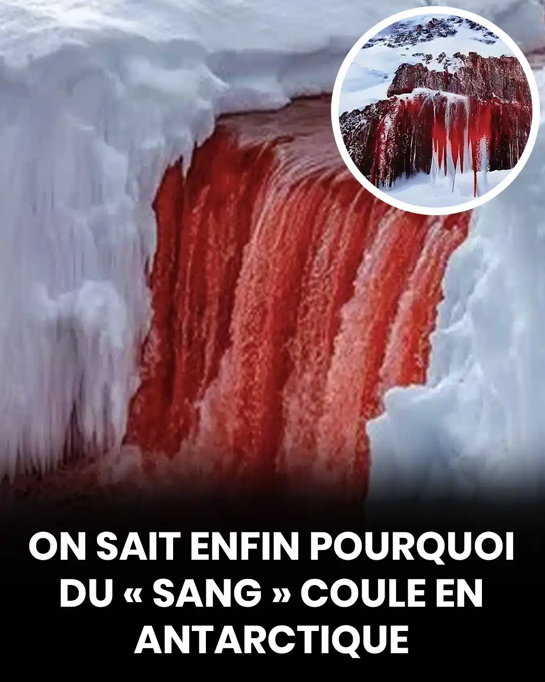 Le mystère derrière les chutes de sang en Antarctique a été percé