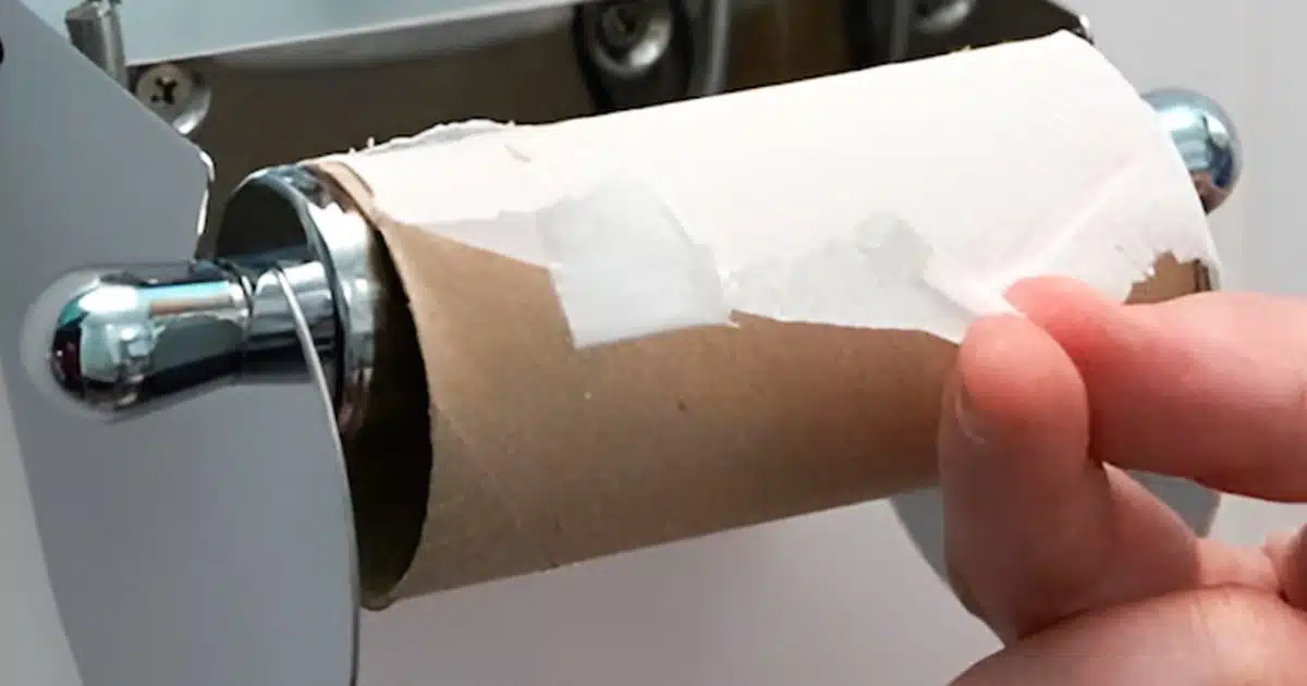 Le papier toilette va bientôt disparaître : découvrez par quoi il sera remplacé