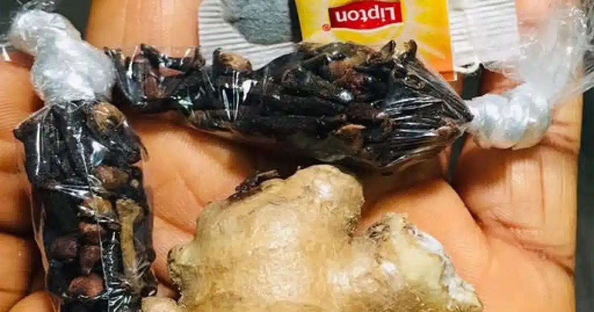 Le pouvoir du clou de girofle, du gingembre et du thé Lipton : un trio bénéfique pour la santé