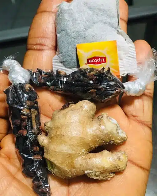 Le pouvoir du clou de girofle, du gingembre et du thé Lipton : un trio bénéfique pour la santé