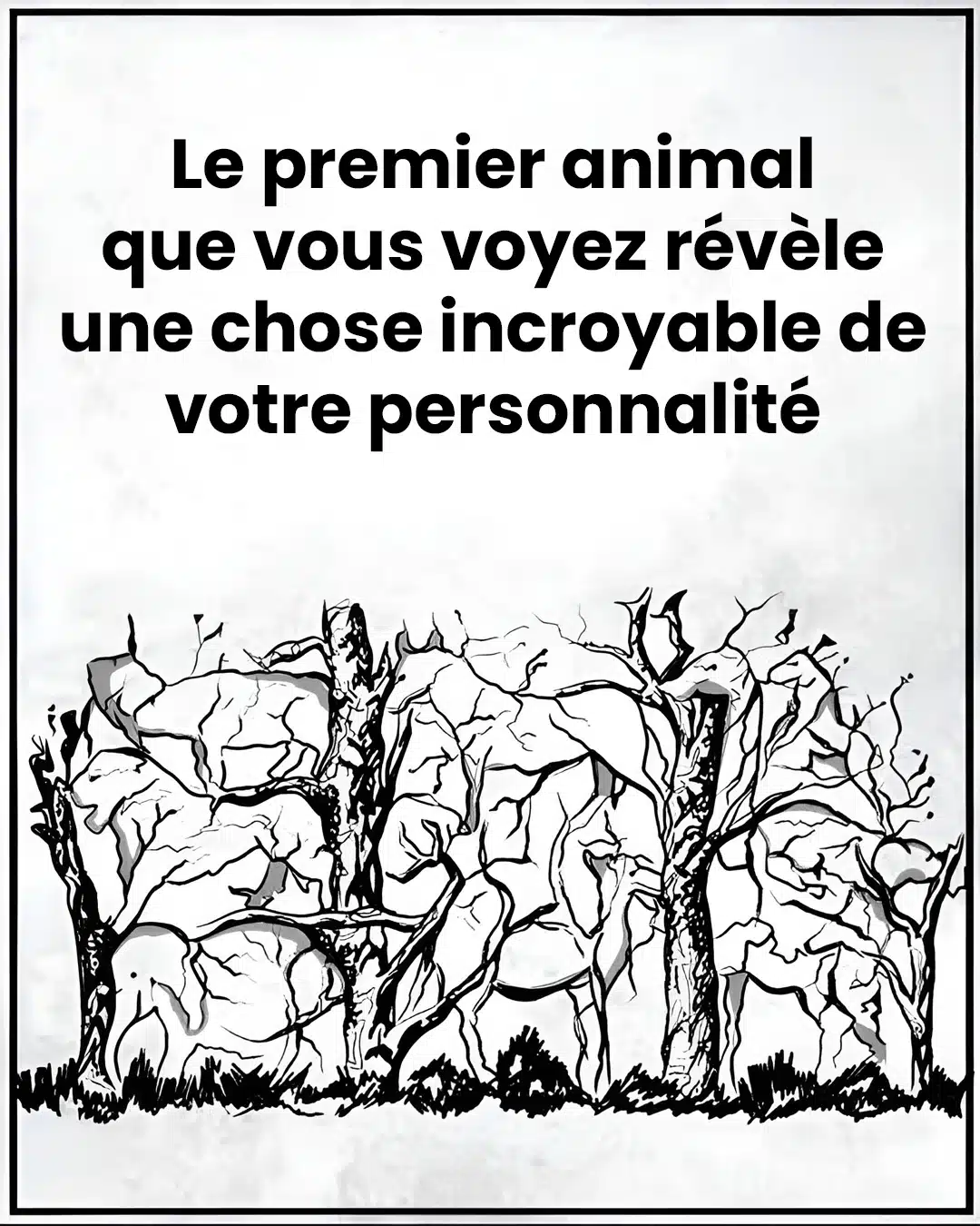 Le premier animal que vous verrez révélera des choses sur votre personnalité