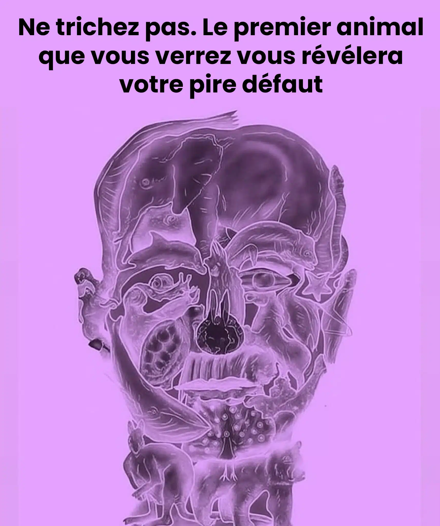 Le premier animal que vous verrez vous révélera votre pire défaut