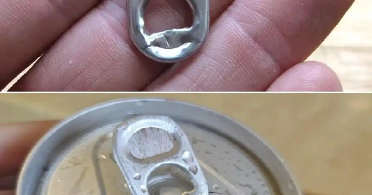 Les anneaux sur les canettes en aluminium cachent un secret que peu de gens connaissent