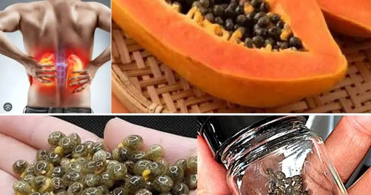 Les bienfaits des graines de papaye pour la santé : pourquoi les inclure dans votre alimentation