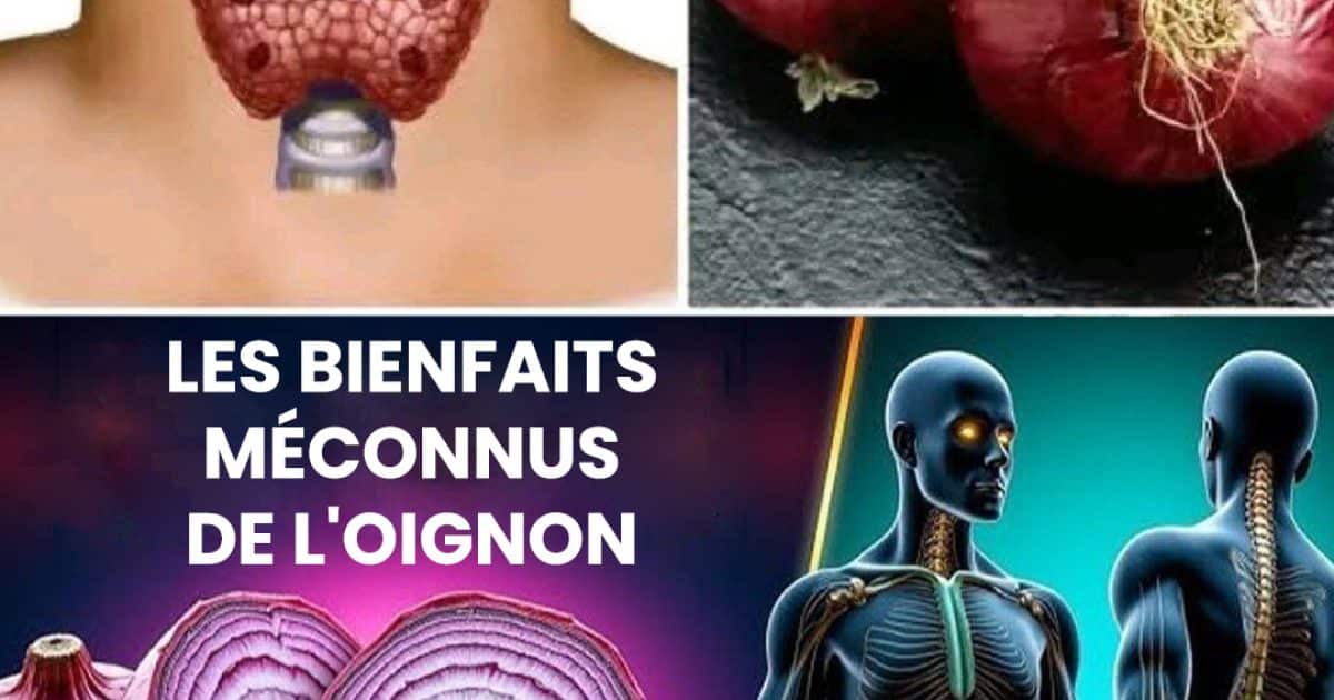 Les bienfaits des oignons pour la santé
