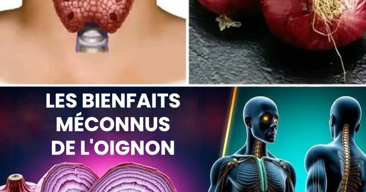 Les bienfaits des oignons pour la santé