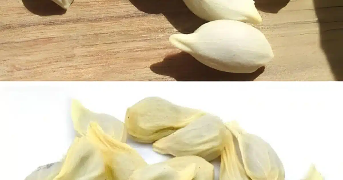 Les graines de citron, bien que souvent négligées, ont des propriétés bénéfiques. Voici quelques façons utiles de les utiliser