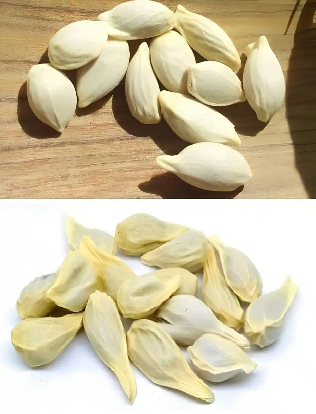 Les graines de citron, bien que souvent négligées, ont des propriétés bénéfiques. Voici quelques façons utiles de les utiliser