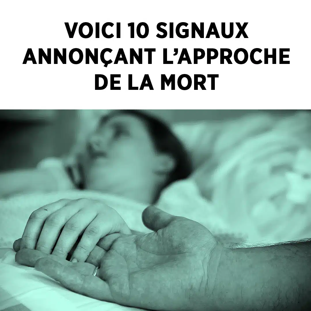 Les indicateurs que la fin de vie est imminente